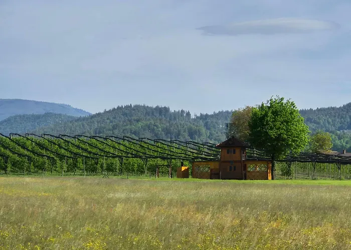 Unique Wooden Holiday House In Nature
