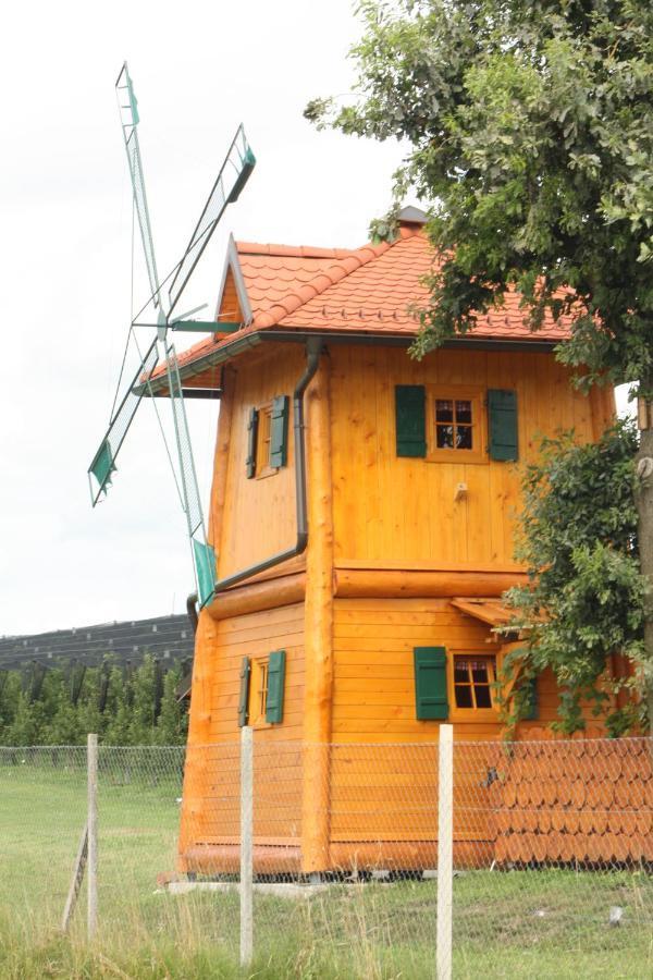 Unique Wooden House In Nature
