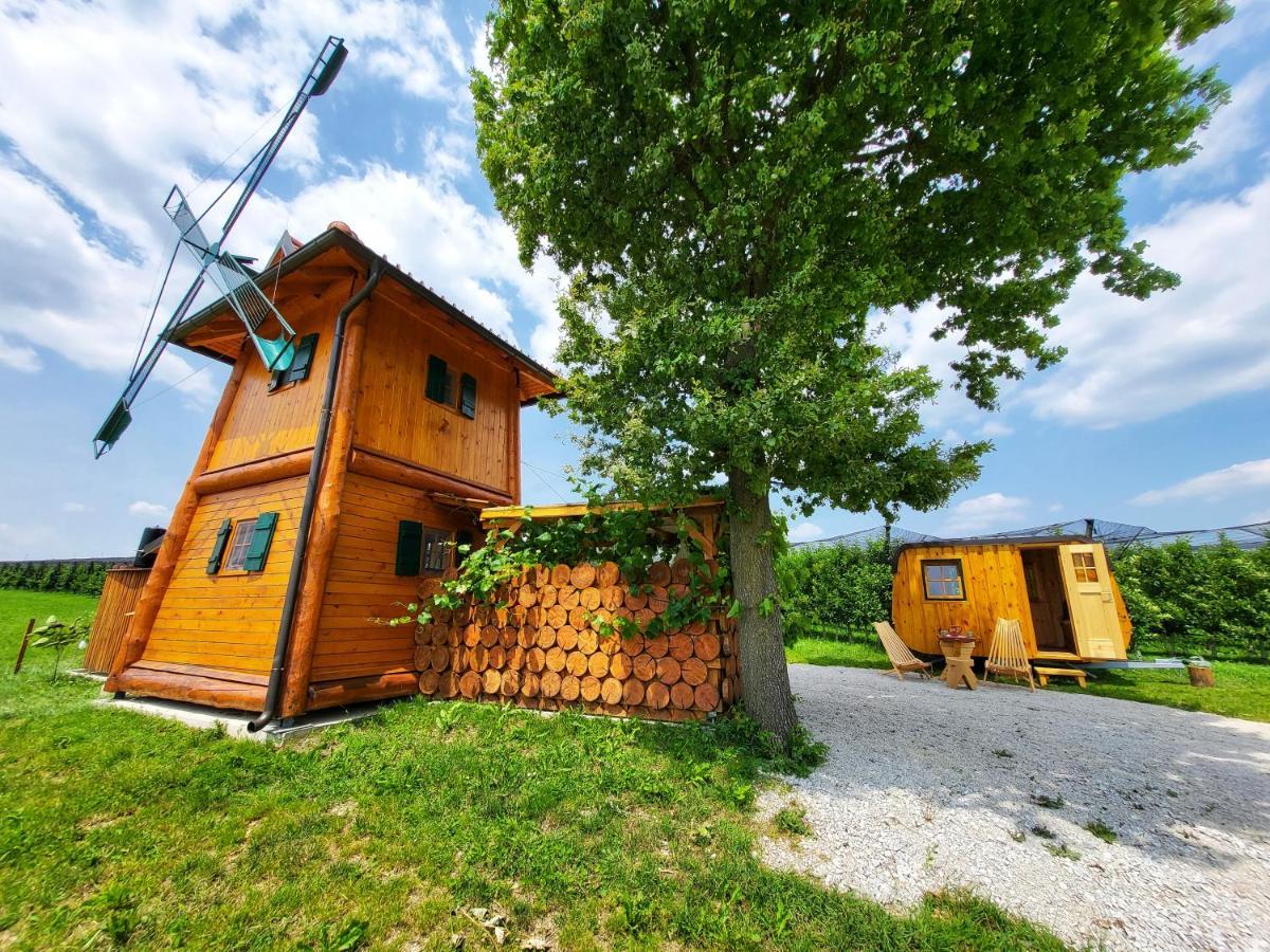 Unique Wooden House In Nature *