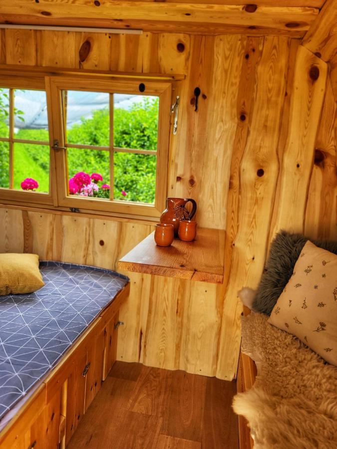 Unique Wooden House In Nature