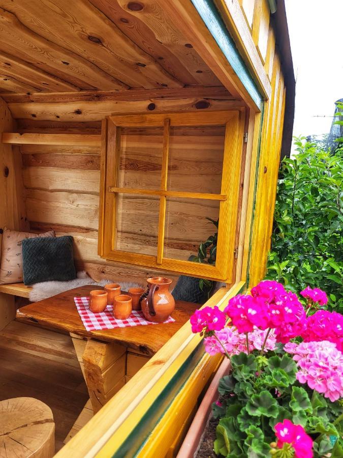 Unique Wooden House In Nature