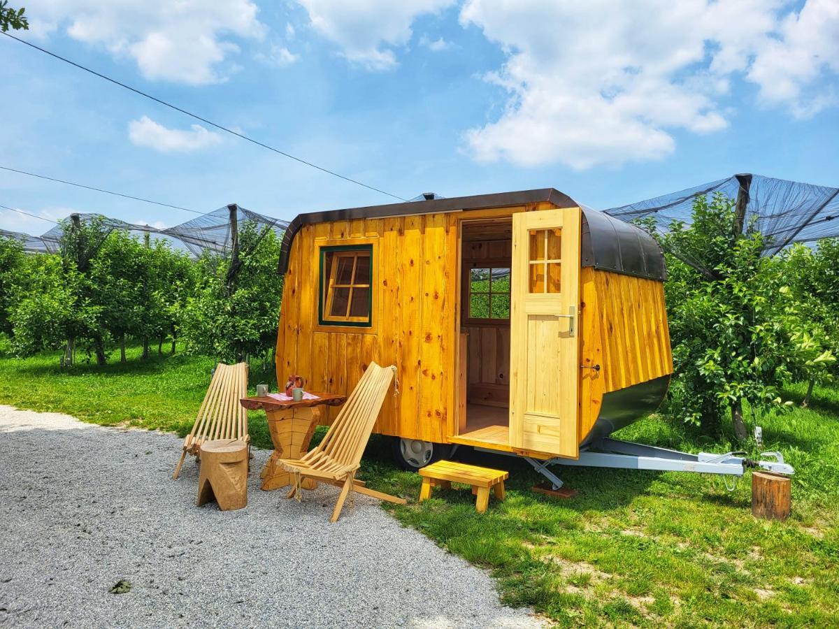 Unique Wooden House In Nature *