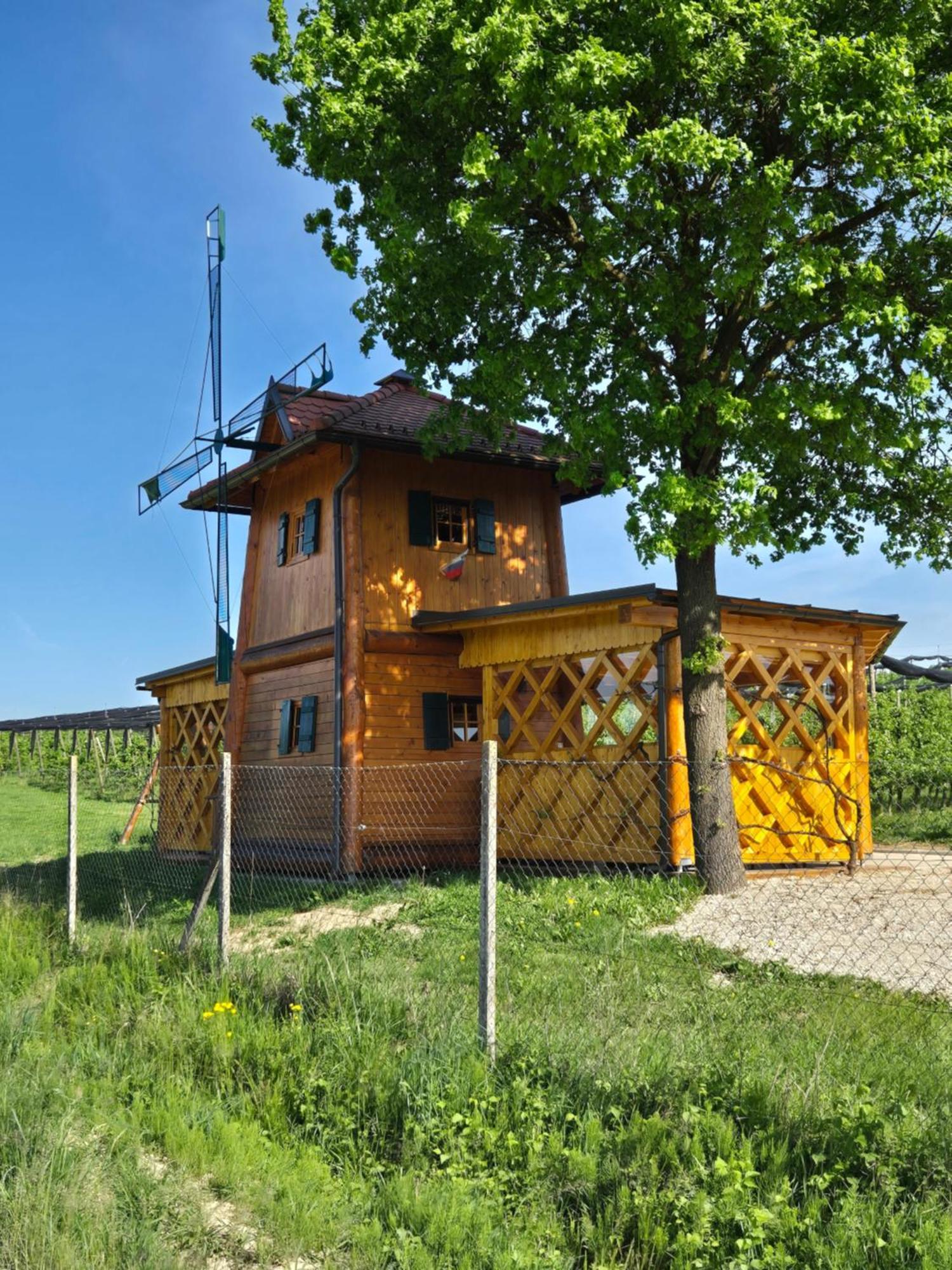 Unique Wooden House In Nature